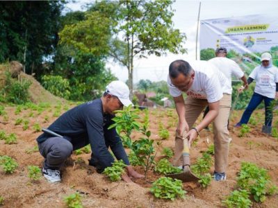 Edukasi Urban Farming