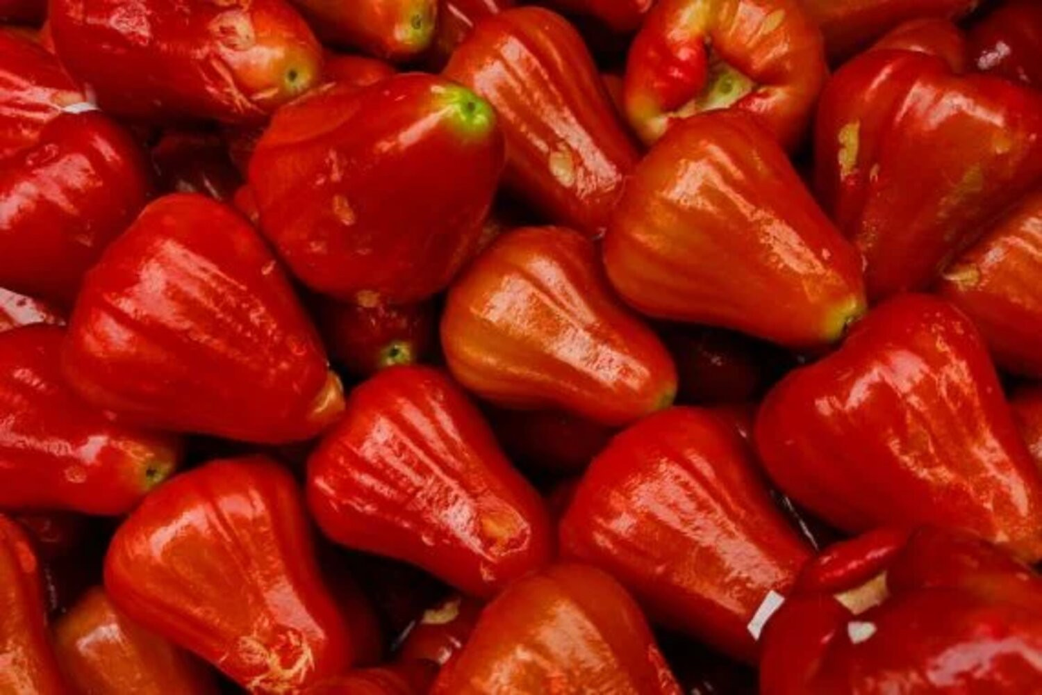 Khasiat Jambu Air Untuk Menjaga Kesehatan Kulit Wajah