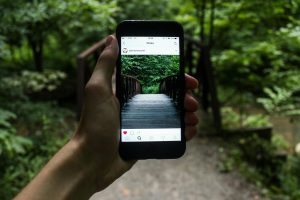 Fenomena Viral: Tren Media Sosial Saat Ini
