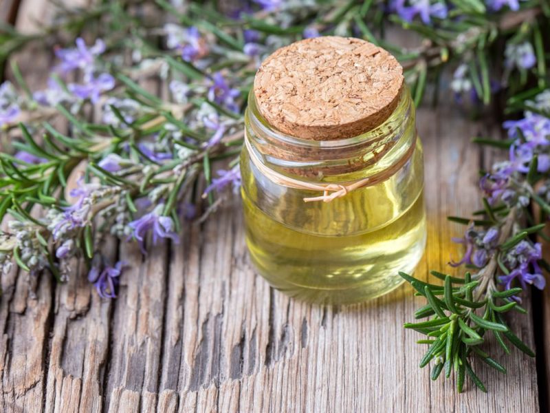 Rosemary Dapat Menumbuhkan Rambut?