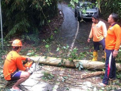 Cuaca Ekstrem Meningkat, Pentingnya Edukasi Mitigasi Bencana