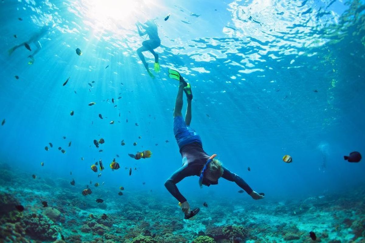 Mengapa Freediving Adalah Olahraga Yang Memerdekakan