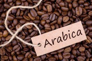 Kopi Arabika
