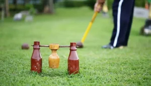 Woodball 2025