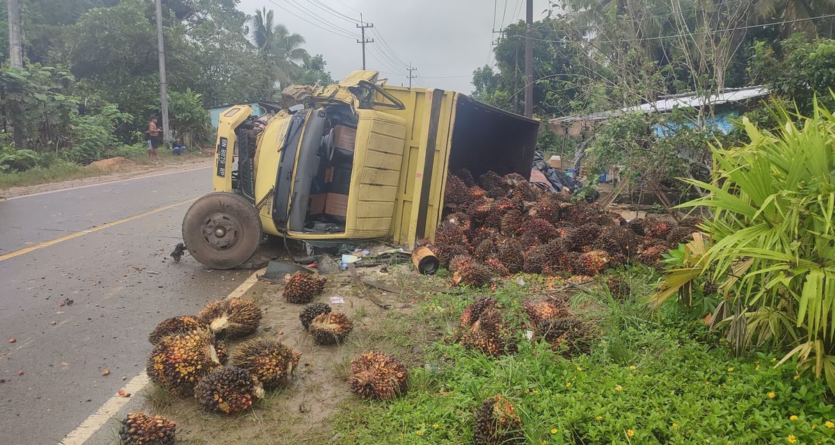 Tabrakan Minibus dan Truk Sawit di Bangka Barat