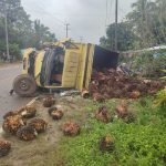 Tabrakan Minibus dan Truk Sawit di Bangka Barat