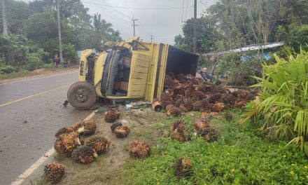 Tabrakan Minibus dan Truk Sawit di Bangka Barat