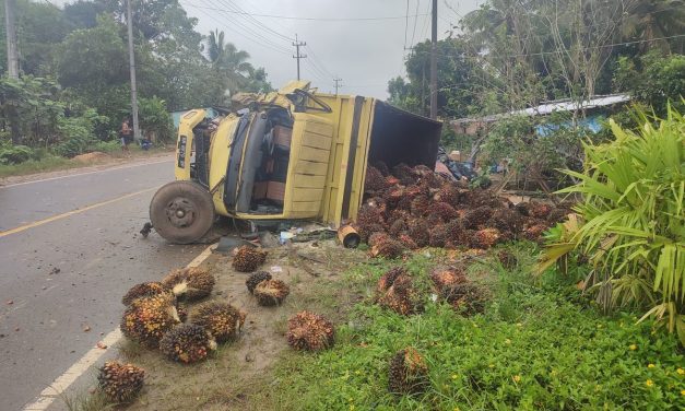Tabrakan Minibus dan Truk Sawit di Bangka Barat