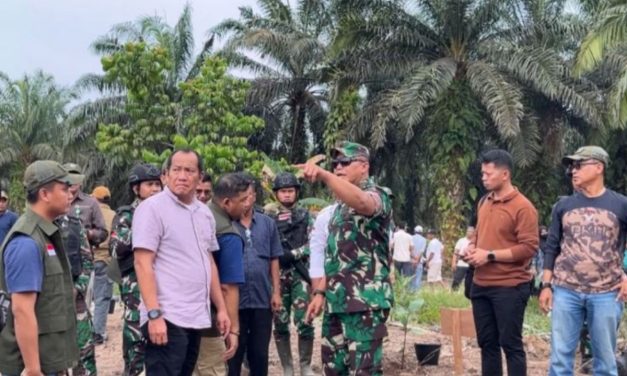 Darurat Tesso Nilo: Di Jarah Sawit, Di Lindungi Kertas