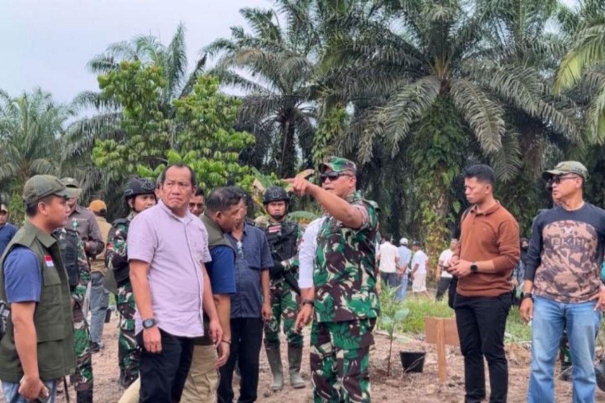 Darurat Tesso Nilo: Di Jarah Sawit, Di Lindungi Kertas