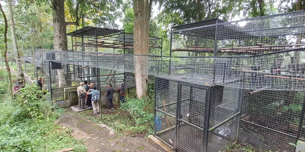 Kisah PCBA Prigen: Berjuang Dalam Diam Demi Kelestarian Satwa