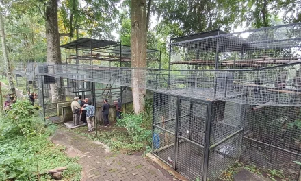 Kisah PCBA Prigen: Berjuang Dalam Diam Demi Kelestarian Satwa