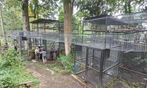 Kisah PCBA Prigen: Berjuang Dalam Diam Demi Kelestarian Satwa