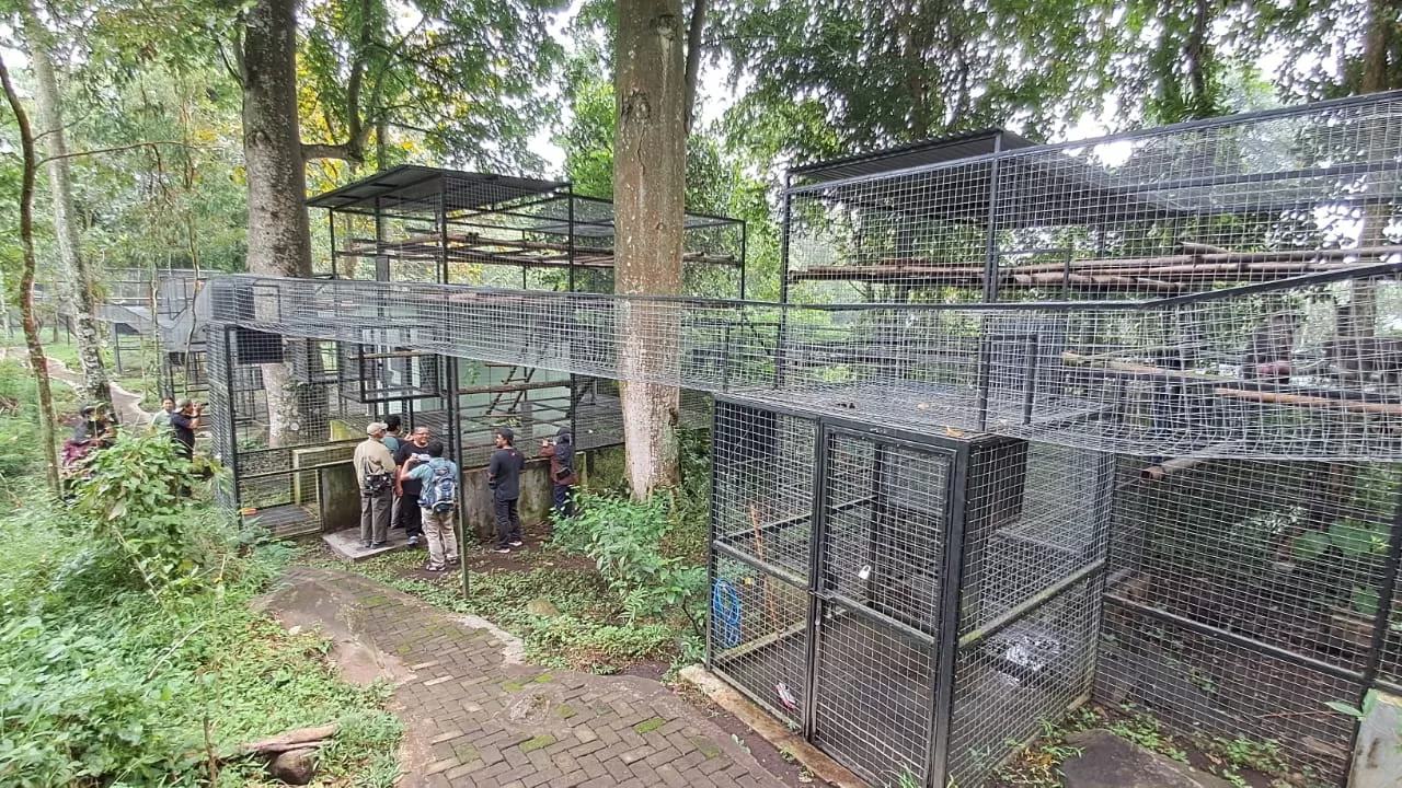 Kisah PCBA Prigen: Berjuang Dalam Diam Demi Kelestarian Satwa