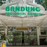Cek Kebun Binatang Terbaik Di Jabar, Di Jamin Puas!