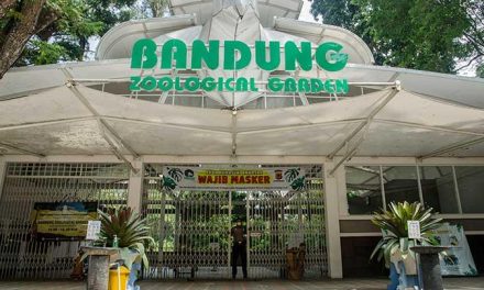 Cek Kebun Binatang Terbaik Di Jabar, Di Jamin Puas!