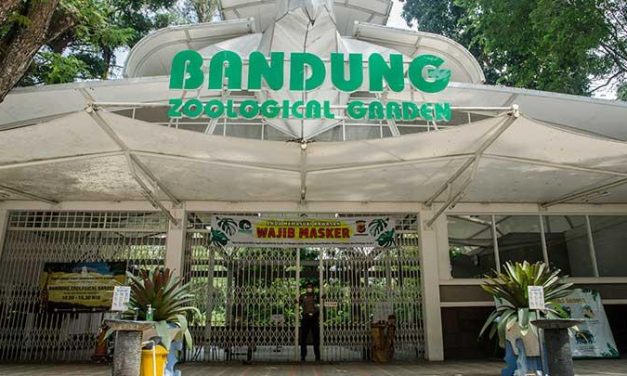 Cek Kebun Binatang Terbaik Di Jabar, Di Jamin Puas!