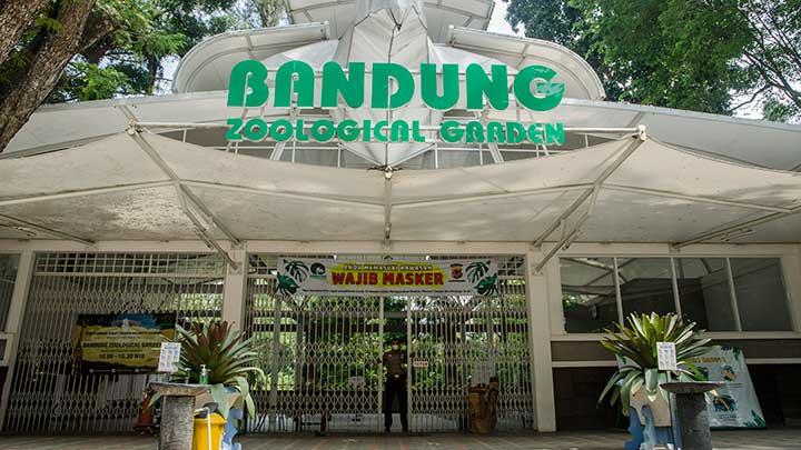 Cek Kebun Binatang Terbaik Di Jabar, Di Jamin Puas!