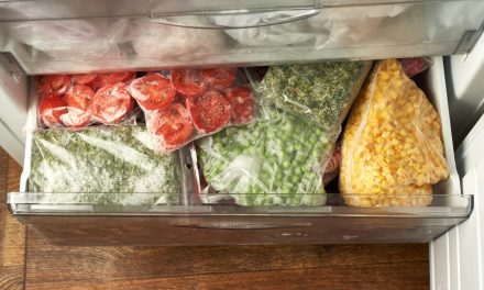 Rahasia Bahan Makanan Tetap Segar Dan Tahan Lama Di Kulkas